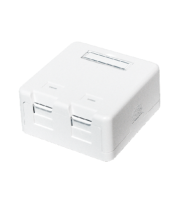 Keystone Media Box 2-port